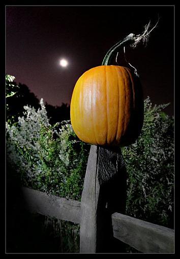 theme: Orange, orange,everywhere-pumpkinatnight1004-160704xweb.jpg