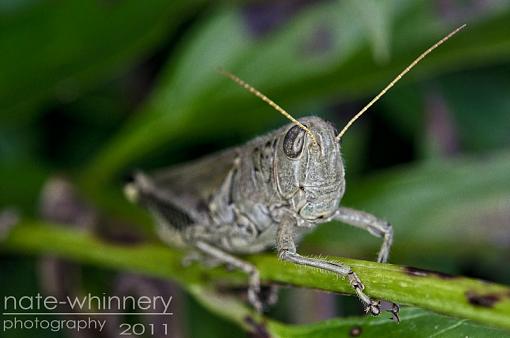 if only kids were as cooperative as insects-untitled-1-3-2.jpg