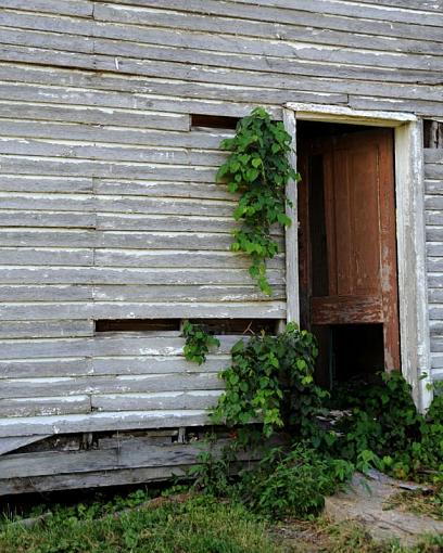 Weathered, Battered and Neglected-dsc_4193-2-1000.jpg