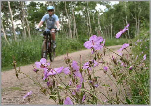 Wild (Flower) Weekend-img_0221.jpg