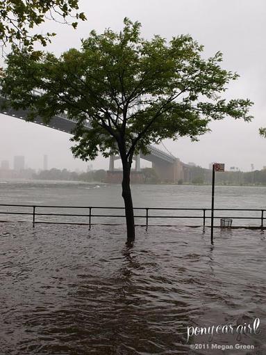 Hurricane Irene-flood_vert.jpg