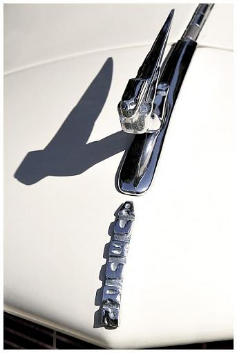 Hood ornaments-_csc9214.jpg