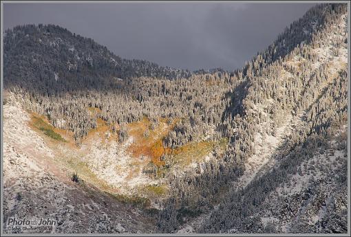 Frosted Fall Colors-_a061530.jpg