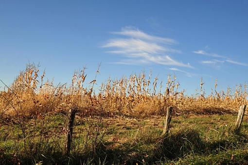 Rural America-dsc_5477-2-1000.jpg