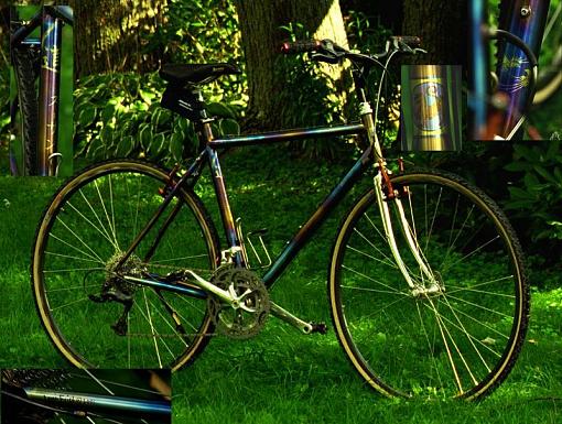 How about a bike thread? - the kind with pedals-carpe-collage-800.jpg