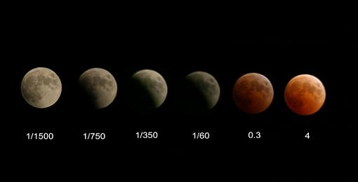 What A Night For An Eclipse-lunar-eclipse-web.jpg