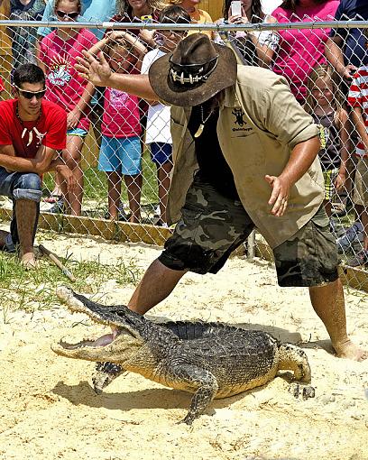 Gator Boys from Animal Planet-_dsc6482_2.jpg