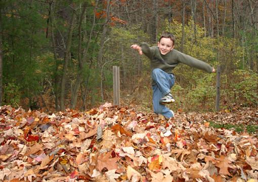 Autum Fun-autumn-leaves.jpg