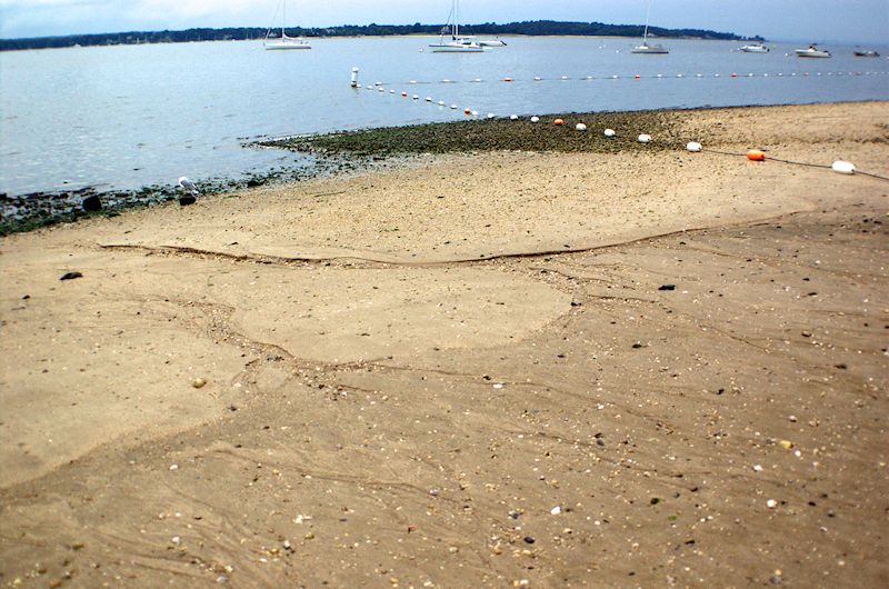 [Image: 89000d1344028364-low-tide-westneck-beach...necksm.jpg]