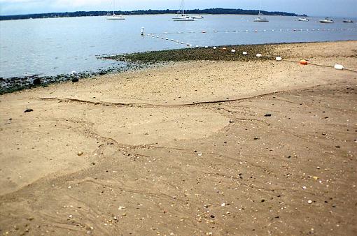 Low Tide at Westneck Beach-lowtidewestnecksm.jpg