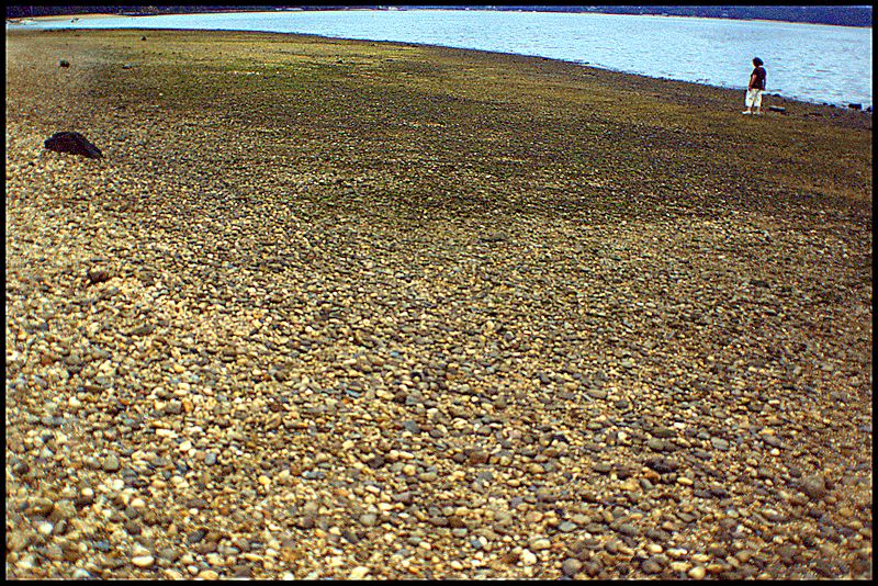 [Image: 89001d1344028364-low-tide-westneck-beach...eachsm.jpg]