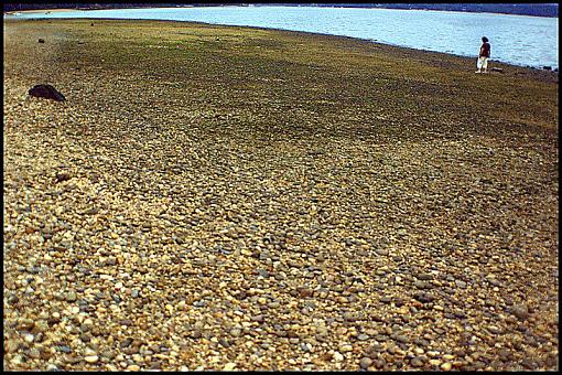 Low Tide at Westneck Beach-rockybeachsm.jpg