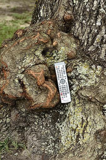 Unusual remote location photo-_dsc7640.jpg