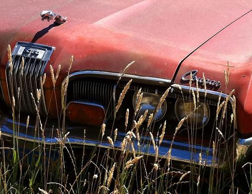 Hood ornaments-saturday-jag-cougar.jpg