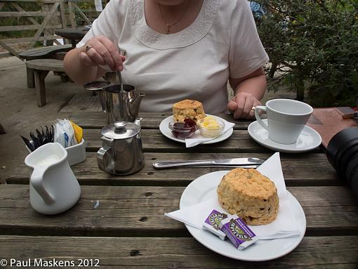 Cream tea-_2265276.jpg