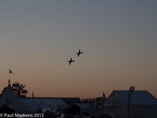 evening flight-_2156024.jpg