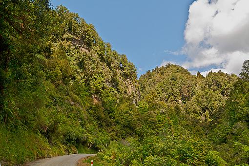 Forgotten World Highway-gorge.jpg