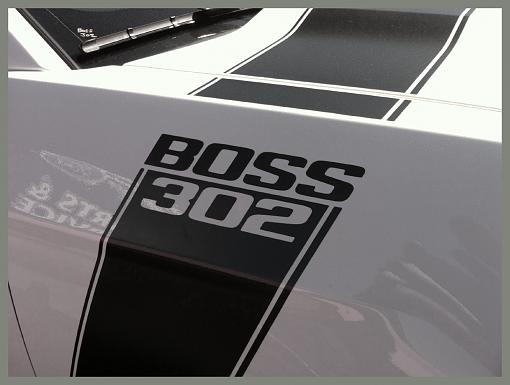 American Muscle-boss-back.jpg