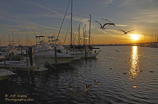 Sunset at the marina-_dsc6378.jpg