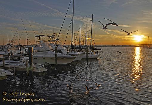 Sunset at the marina-_dsc6378.jpg