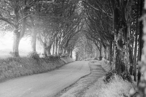 from the archive ... country road-img_000014.jpg