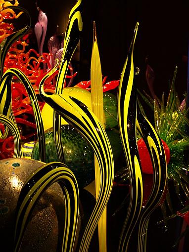 Chihuly Garden and Glass-glass1.jpg