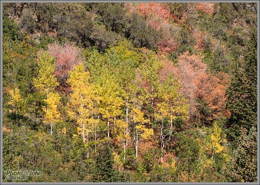 Let's See Your 2013 Fall Photos!-_9280638_1200.jpg