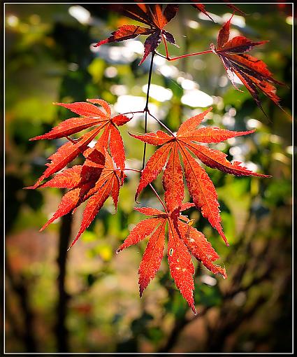 Let's See Your 2013 Fall Photos!-d3s_1343-2e-1.jpg