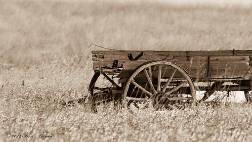 Lost in Time...in BW-_d4_6014.jpg