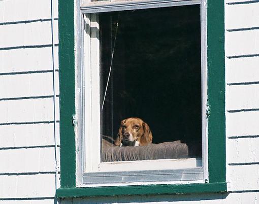 A Forlorn Hope-lucky-window.jpg