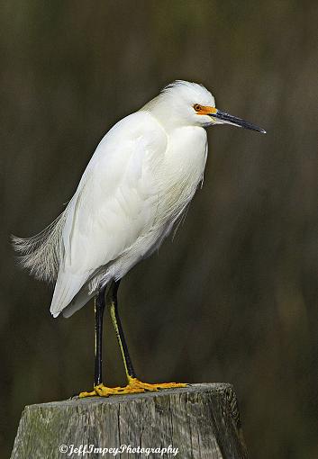 A couple of portrait from today-_dsc0378.jpg